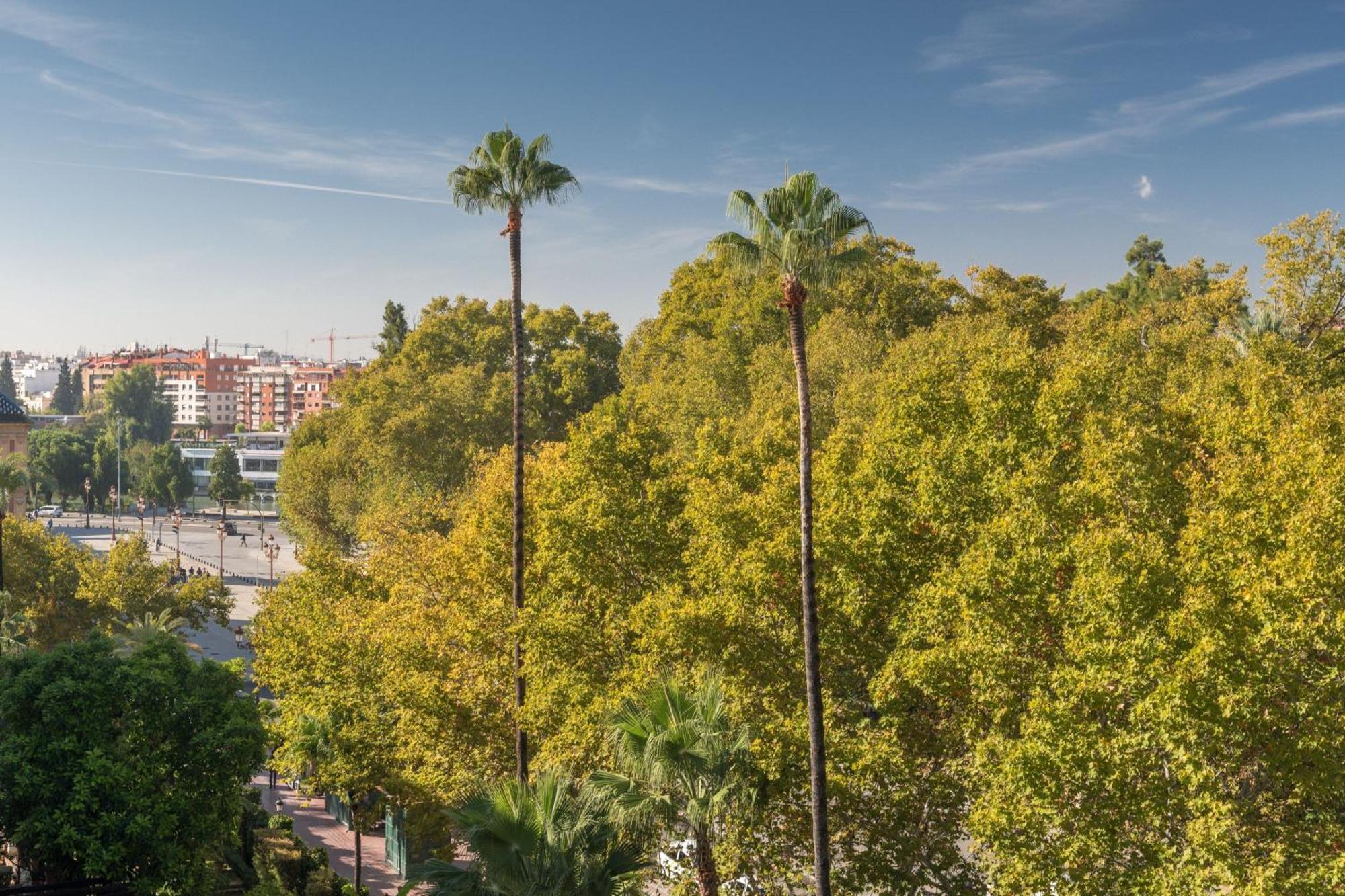 塞维利亚阿方索十三世豪华精选酒店 外观 照片 Parque del Retiro